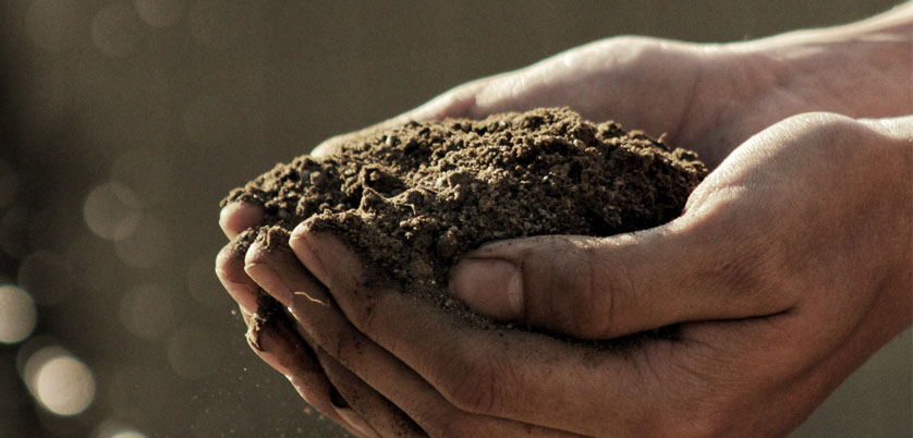 G8全自動石墨消解儀對土壤中Cd、Cr、Cu、Pb、Ni、Zn金屬消解方案