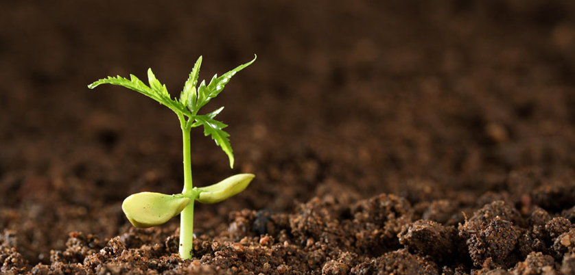 G8全自動石墨消解儀對土壤中汞、砷測定的消解案例