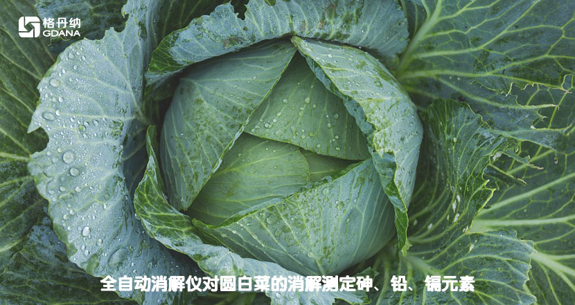 全自動消解儀對圓白菜的消解測定砷、鉛、鎘元素