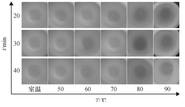 不同密閉消解時(shí)間、不同水浴溫度的消解效果